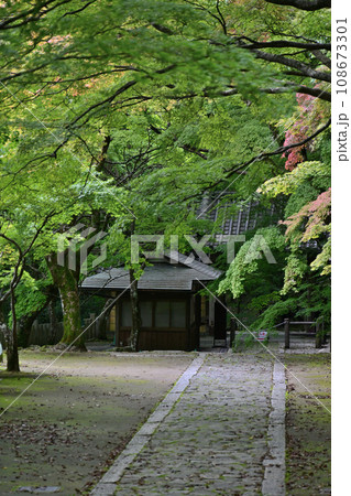 滋賀県 永源寺 滋賀県 永源寺 108673301