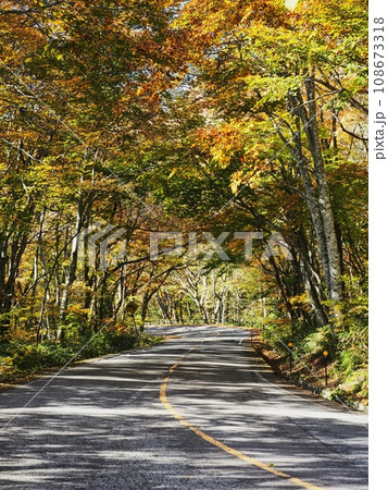 紅葉する奥大山大山環状道路 108673318