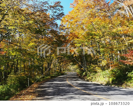 紅葉する奥大山大山環状道路 紅葉する奥大山大山環状道路 108673320