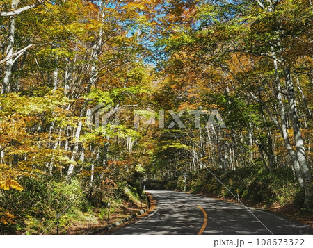 紅葉する奥大山大山環状道路 紅葉する奥大山大山環状道路 108673322