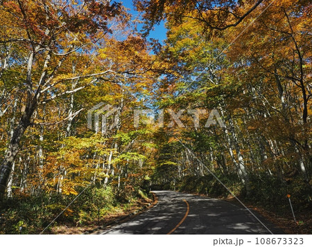 紅葉する奥大山大山環状道路 108673323