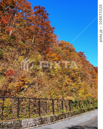 紅葉する奥大山大山環状道路 紅葉する奥大山大山環状道路 108673326