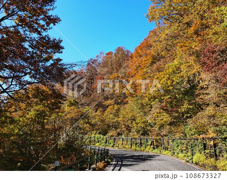 紅葉する奥大山大山環状道路 紅葉する奥大山大山環状道路 108673327
