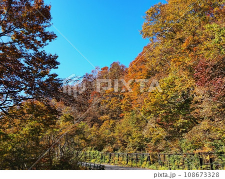 紅葉する奥大山大山環状道路 108673328