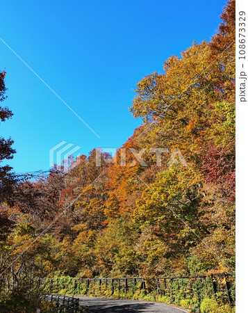 紅葉する奥大山大山環状道路 108673329