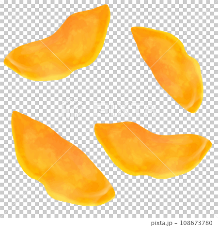 ドライフルーツ　マンゴー 108673780