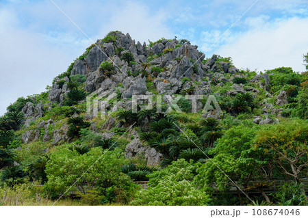 沖縄ヤンバルアスムイハイクス(旧 大石林山) 悟空岩 沖縄ヤンバルアスムイハイクス(旧 大石林山) 悟空岩 108674046