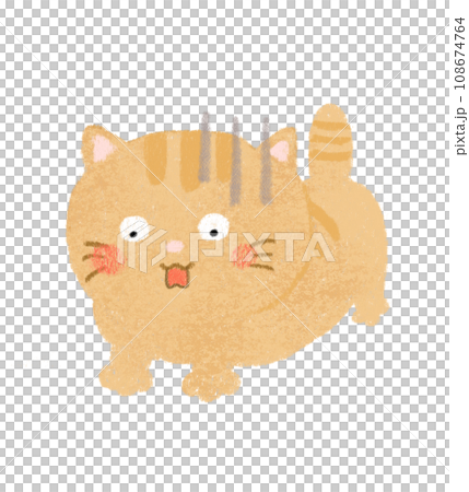 休克貓棕色虎斑 108674764