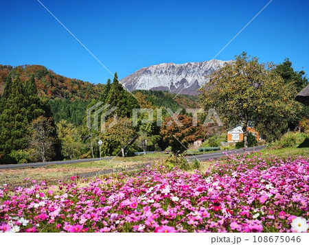 秋の奥大山の風景　御机の茅葺小屋 108675046