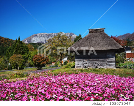 秋の奥大山の風景　御机の茅葺小屋 108675047