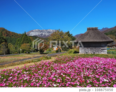 秋の奥大山の風景　御机の茅葺小屋 108675050