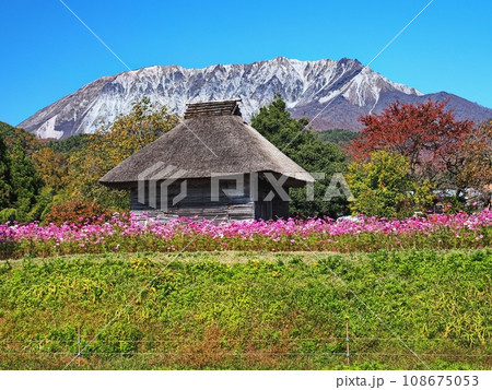 秋の奥大山の風景　御机の茅葺小屋 108675053
