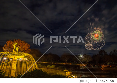 ライトアップの噴水と花火 昭和記念公園 ライトアップの噴水と花火 昭和記念公園 108675150