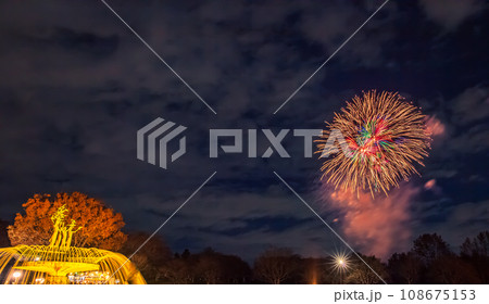 ライトアップの噴水と花火 昭和記念公園 ライトアップの噴水と花火 昭和記念公園 108675153