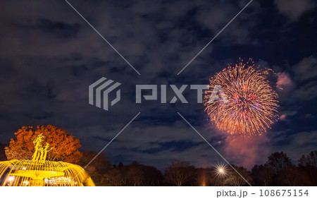 ライトアップの噴水と花火 昭和記念公園 ライトアップの噴水と花火 昭和記念公園 108675154