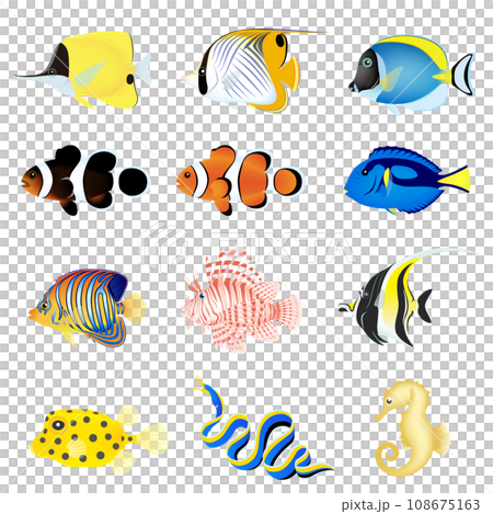 美麗的海魚套裝 108675163