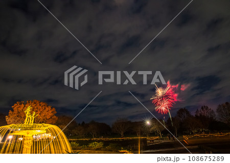 ライトアップのイチョウ並木と花火　昭和記念公園 108675289