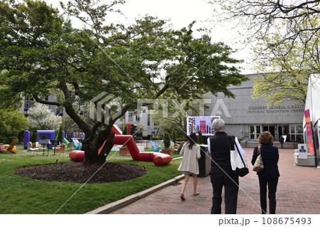 ボストンの卒業式 108675493