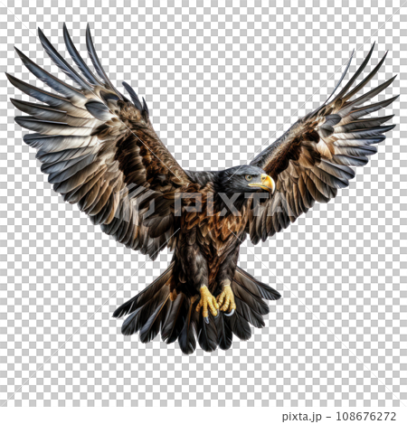 a flying eagle isolated 108676272