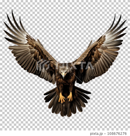 a flying eagle isolated a flying eagle isolated 108676276