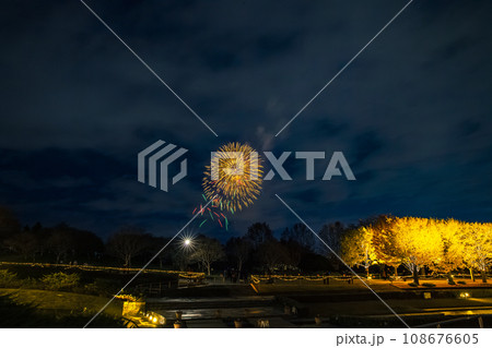 ライトアップのイチョウ並木と花火　昭和記念公園 108676605