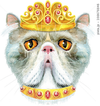 Lovely closeup portrait of Exotic Shorthair cat in golden crown. Hand drawn water colour painting on white background 108678846