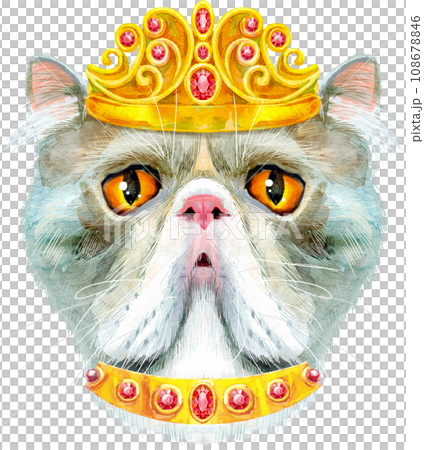 Lovely closeup portrait of Exotic Shorthair cat in golden crown. Hand drawn water colour painting on white background 108678846