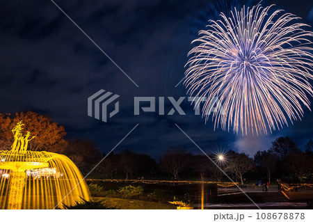ライトアップの噴水と花火　昭和記念公園 108678878