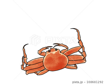 赤いカニコ 原画 fit=scale-down,w=1200