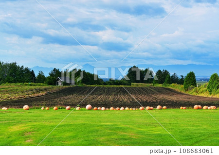 ファームレストラン 花茶 農園の風景 (北海道千歳市泉郷) ファームレストラン 花茶 農園の風景 (北海道千歳市泉郷) 108683061