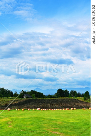 ファームレストラン 花茶 農園の風景 (北海道千歳市泉郷) ファームレストラン 花茶 農園の風景 (北海道千歳市泉郷) 108683062