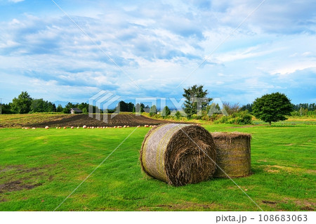 ファームレストラン 花茶 農園の風景 (北海道千歳市泉郷) ファームレストラン 花茶 農園の風景 (北海道千歳市泉郷) 108683063