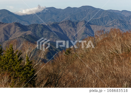 両神山山頂の早春のダケカンバ林と甲武信岳の眺め 108683518