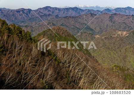 春の両神山山頂から八ヶ岳連峰遠望 108683520