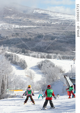 スキースクール林間コースのプルークボーゲン スキースクール林間コースのプルークボーゲン 108683735