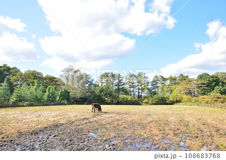 2023年10月 青森県七戸町 2023年10月 青森県七戸町 108683768