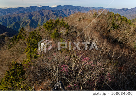 アカヤシオツツジ咲く両神山山頂から見る奥秩父の山並み 108684006