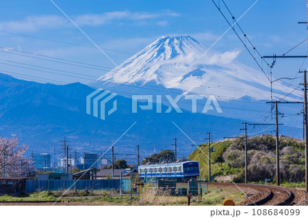 （静岡県）伊豆箱根鉄道駿豆線と富士山（桜の季節） 108684099