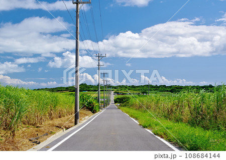 沖縄県小浜島　シュガーロードと青空 108684144