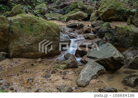 交野の清流尺治川 大阪府交野市 交野の清流尺治川 大阪府交野市 108684186