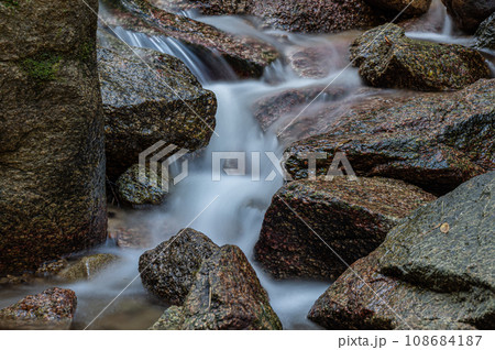 交野の清流尺治川 大阪府交野市 交野の清流尺治川 大阪府交野市 108684187