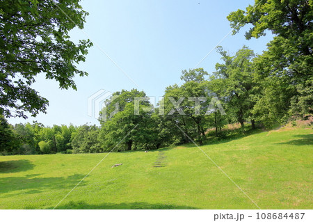 爽やか夏の公園 爽やか夏の公園 108684487