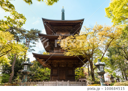 (東京都ー風景)青空と豪徳寺三重塔3 108684515