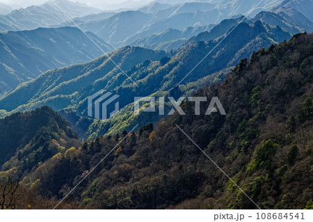 両神山から見る新緑の山並み 108684541