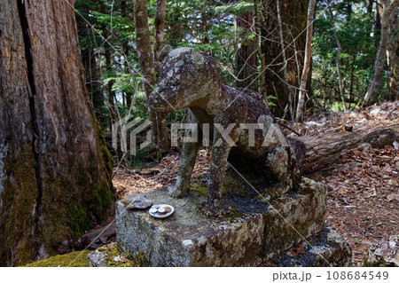 両神山・両神神社の狛犬 108684549