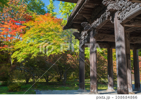 【色づき始め】霊松寺・山門【大町市】 108684866