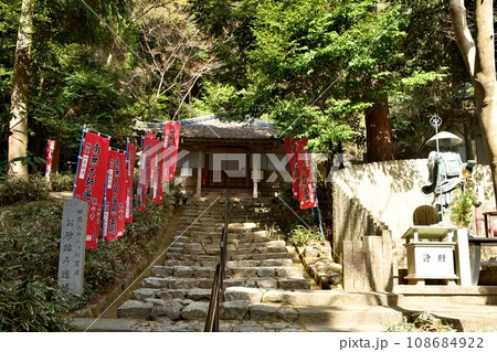 観心寺(御影堂) 【大阪府河内長野市】 観心寺(御影堂) 【大阪府河内長野市】 108684922