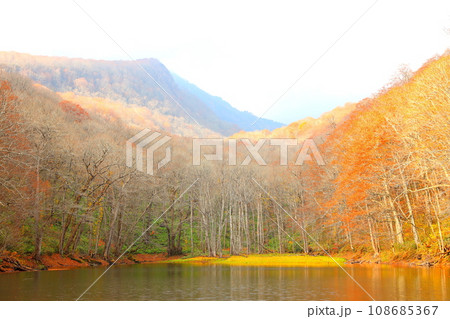 晩秋の蔦の七沼の一つの長沼 晩秋の蔦の七沼の一つの長沼 108685367