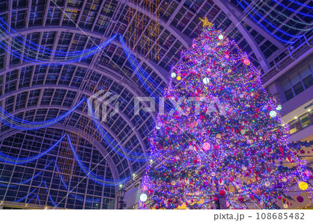 札幌ファクトリーのクリスマスツリー 札幌ファクトリーのクリスマスツリー 108685482