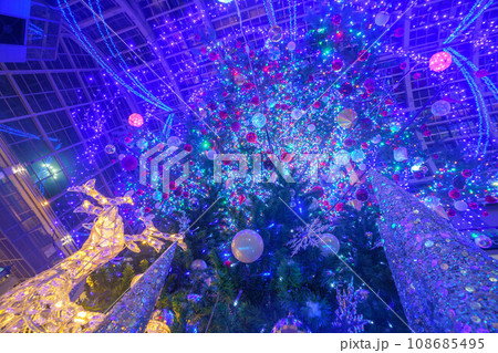 札幌ファクトリーのクリスマスツリー 108685495